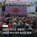 토마토사진관 | 2026 부산 강서 축제 | 대저 토마토 축제 방문 후기