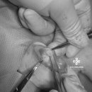 논현동물병원 이미지