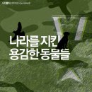 나라펫 이미지