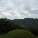 삼한국대부인순흥안씨묘 Daum카페