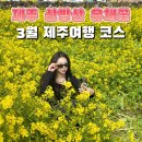 산방산주차장 | 제주 산방산 유채꽃 명소 가격 주차장 제주 3월 실시간 방문후기