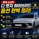 "그랜저 살 바엔 이거 산다?" 현대 소나타 디 엣지 하이브리드 옵션