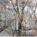 천축사 마애사리탑 이미지