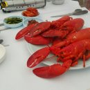 선재낚시터 이미지