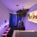 강남애견 이미지