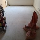 강남대로 321 이미지