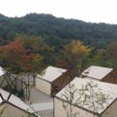 자일랜드 이미지