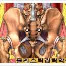 [전문칼럼]골반관리의 가장 효과적인 시기[인천피부관리실 인천골반관리 인천산후관리] 이미지