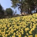 야생화단지내 이미지