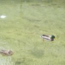 종로5.6가동 이미지