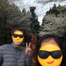 절물자연휴양림 | 절물자연휴양림 4월초 방문 후기