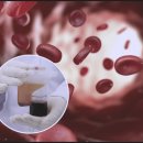 정부청사역 이미지