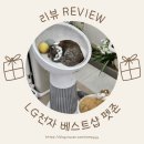 펫존 | LG전자 베스트샵 검단점 강아지 고양이용품 펫존후기