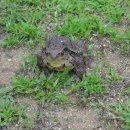 청해농장 이미지