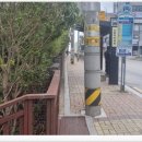 구서동 도시숲 이미지