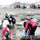 선감체험마을