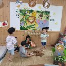 새싹반 ZOO 동물원 놀이~🐯🦒🐢 이미지