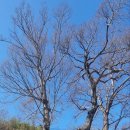 위드미하대중앙점 | 김제[천년고찰] 통일 신라의 승려 의상이 창건한 사찰, 모악산 귀신사