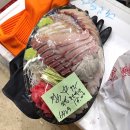 소정빌딩 | [송파,가락시장 맛집] 청해수산,초장집 소정식당,참치학교, BBQ본사｜송년회, 대방어와 대게찜, 우니와...