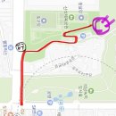 하늘도시 1호 체육공원 축구장 | 벚꽃놀이 피크닉 신석체육공원 명당자리 추천ㅣ4월 11일 방문 후기