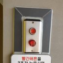 워시테리아전주