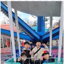 라이온태권도장 이미지