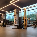 고릴라짐 광교2호점 이미지