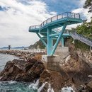 바다부채길2 이미지