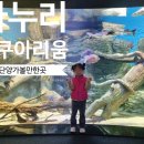 충북 단양 일주일살기 3, 4일차 고수동굴, 패러글라이딩, 다누리아쿠아리움