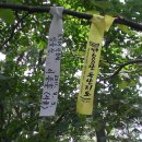 성골목장 Daum카페