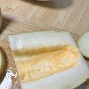 한박농원 | 러시아 중앙아시아의 멜론 제천 듸냐 &lt;하미농원&gt; 후기