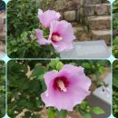 오토산 Daum카페