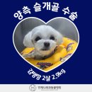 김동물병원 이미지