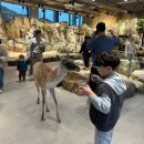 가가동물원 이미지