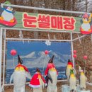 장흥 자연휴양림 | 양주 눈꽃축제 눈썰매장 후기 장흥자연휴양림 겨울축제 아이와 가볼만한곳