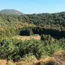 오키나와에서 배운다: 동아시아 속의 한반도 | 제주를 더 재밌게 여행하기 위해 알아야 할 지식