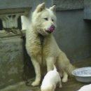 창신농장 이미지