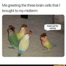 스페인어 초급(비대면) 이미지