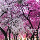 우곡마을회관 이미지