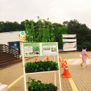 상행농장 이미지