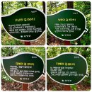 새싹산악회 11월 정기 산행 공지 이미지