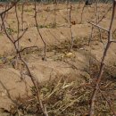 신덕목장 이미지