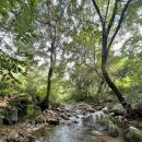 포휴하우스 이미지