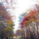 필례산장 이미지