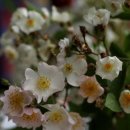 합계마을 이미지