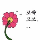 신비바이크 이미지