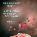 ♤홀로가는_내_삶의길♧ 이미지