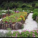 허브아일랜드민박 이미지