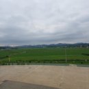 주포농장 이미지