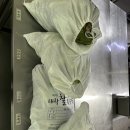 내가잘가는빵집